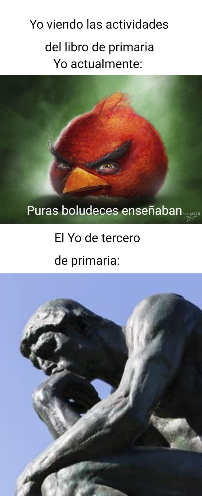 Yo viendo las actividades del libro de primaria. Yo actualmente: Puras boludeces enseñaban. El Yo de tercero de primaria: