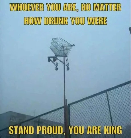 WHOEVER YOU ARE, NO MATTER HOW DRUNK YOU WERE STAND PROUD, YOU ARE KING