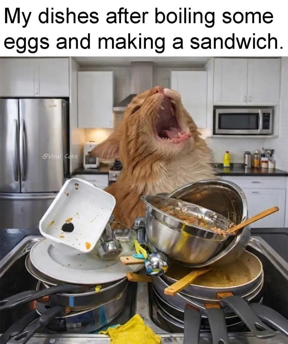 My dishes after boiling some eggs and making a sandwich.