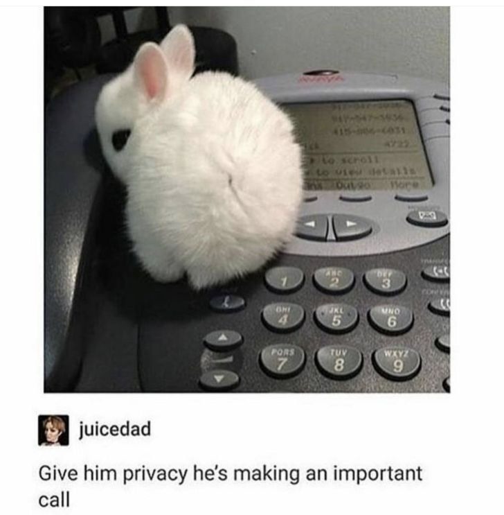juicedad Give him privacy he's making an important call. Text on phone screen: to scroll, to view details, Out 20, More.