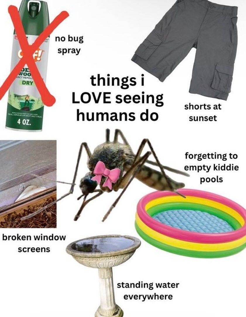 things i LOVE seeing humans do no bug spray shorts at sunset broken window screens forgetting to empty kiddie pools standing water everywhere 4 OZ.