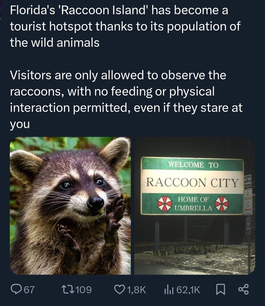 Florida's 'Raccoon Island' has become a tourist hotspot thanks to its population of the wild animals. Visitors are only allowed to observe the raccoons, with no feeding or physical interaction permitted, even if they stare at you. WELCOME TO RACCOON CITY HOME OF UMBRELLA