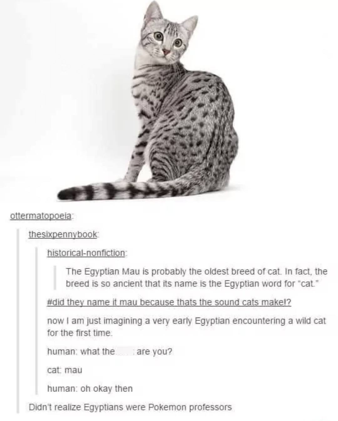 The Egyptian Mau is probably the oldest breed of cat. In fact, the breed is so ancient that its name is the Egyptian word for 