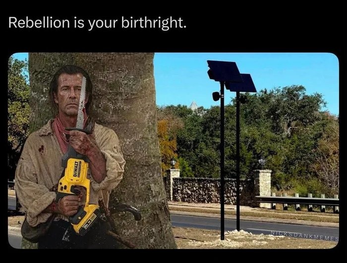 Rebellion is your birthright.