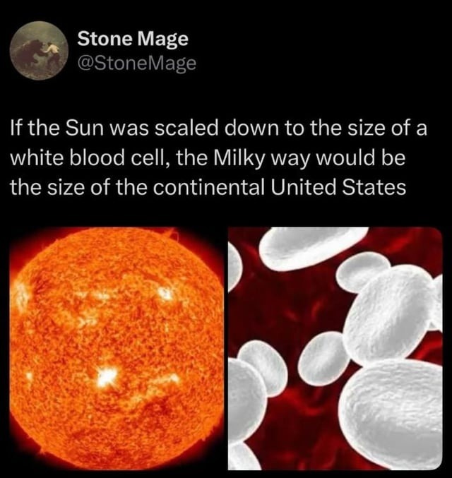 Stone Mage @StoneMage If the Sun was scaled down to the size of a white blood cell, the Milky way would be the size of the continental United States