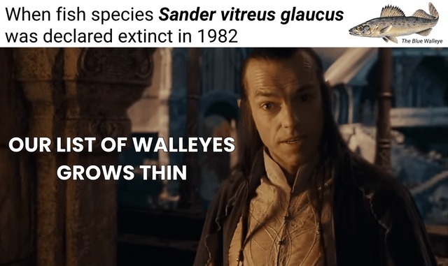 When fish species Sander vitreus glaucus was declared extinct in 1982, Elrond from Lord of the Rings says 'Our list of Walleyes grows thin'. This meme references the extinction of the Blue Walleye.