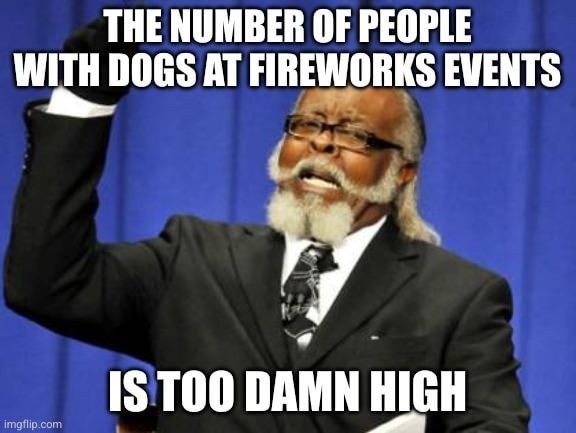THE NUMBER OF PEOPLE WITH DOGS AT FIREWORKS EVENTS IS TOO DAMN HIGH
