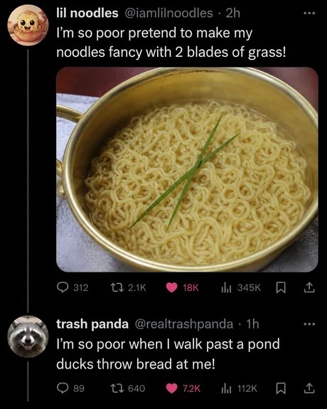 lil noodles @iamlilnoodles 2h I'm so poor pretend to make my noodles fancy with 2 blades of grass! trash panda @realtrashpanda 1h I'm so poor when I walk past a pond ducks throw bread at me!