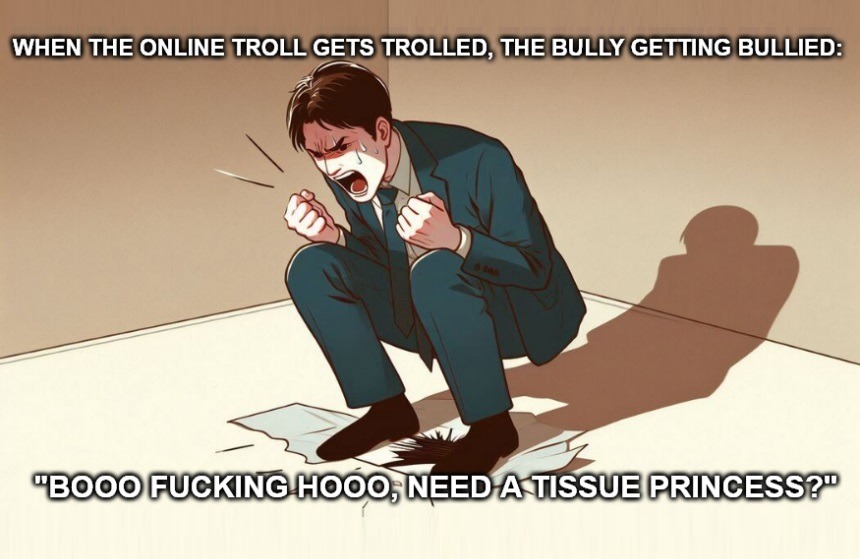 WHEN THE ONLINE TROLL GETS TROLLED, THE BULLY GETTING BULLIED: BOOO FUCKING HOOO, NEED A TISSUE PRINCESS?