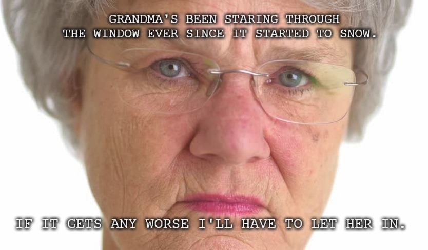 GRANDMA'S BEEN STARING THROUGH THE WINDOW EVER SINCE IT STARTED TO SNOW. IF IT GETS ANY WORSE I'LL HAVE TO LET HER IN.