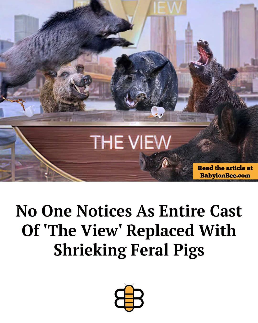 THE VIEW IEW Read the article at BabylonBee.com No One Notices As Entire Cast Of 'The View' Replaced With Shrieking Feral Pigs