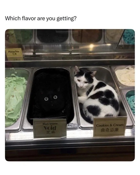 Which flavor are you getting? Pistachio Black Sesame Void Cookies & Cream