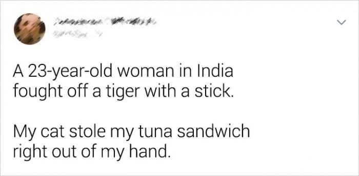 A 23-year-old woman in India fought off a tiger with a stick. My cat stole my tuna sandwich right out of my hand.