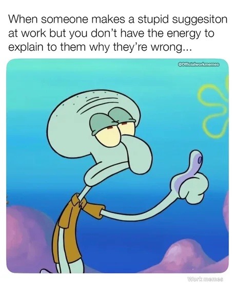 When someone makes a stupid suggestion at work but you don't have the energy to explain to them why they're wrong...