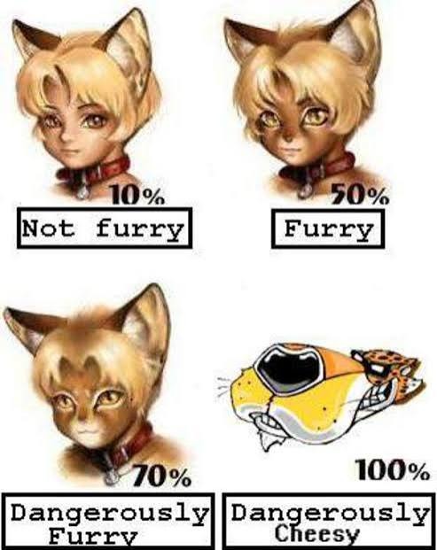 10% Not furry 50% Furry 70% Dangerously Furry 100% Dangerously Cheesy