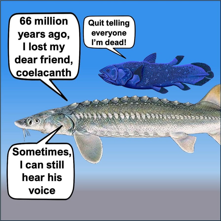66 million years ago, I lost my dear friend, coelacanth. Quit telling everyone I'm dead! Sometimes, I can still hear his voice.