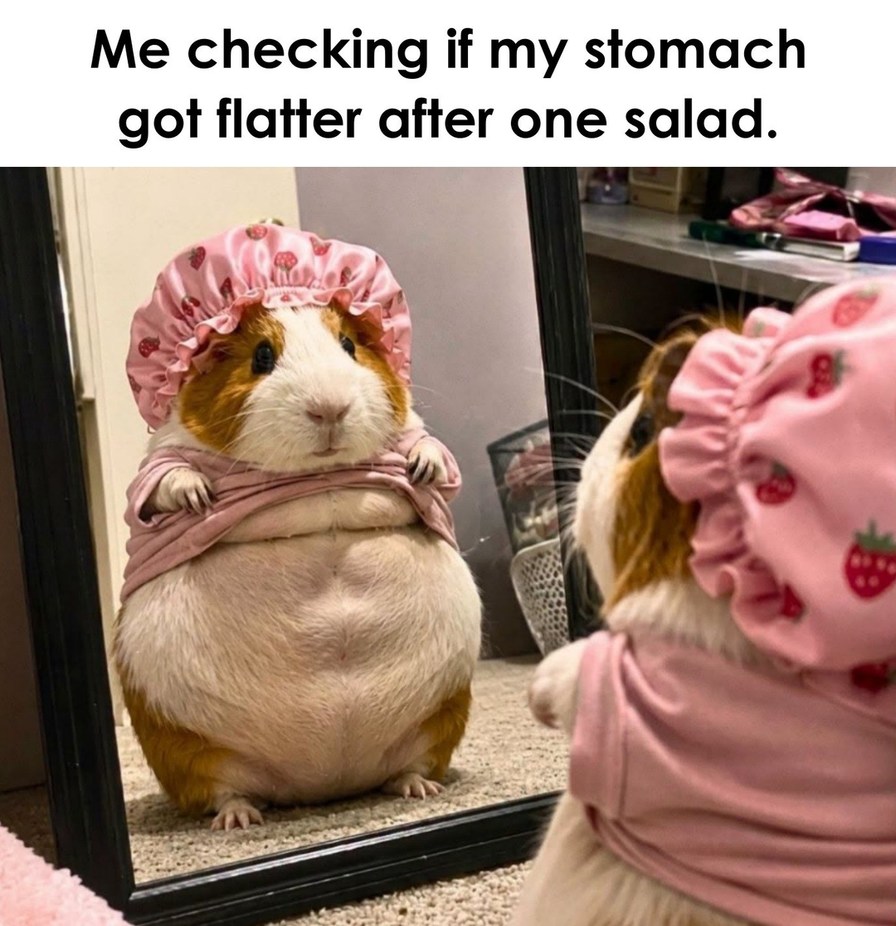 Me checking if my stomach got flatter after one salad.
