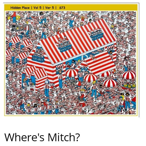 Hidden Place | Vol 5 | Ver 5 | S73. Where's Mitch? The image is a 'Where's Waldo?' style visual puzzle, featuring a highly crowded scene with numerous characters dressed in red and white striped shirts, a large striped building, and various stalls and umbrellas.