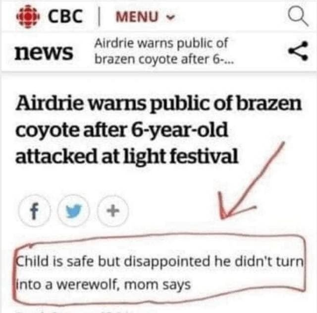 Airdrie warns public of brazen coyote after 6-year-old attacked at light festival. Child is safe but disappointed he didn't turn into a werewolf, mom says.