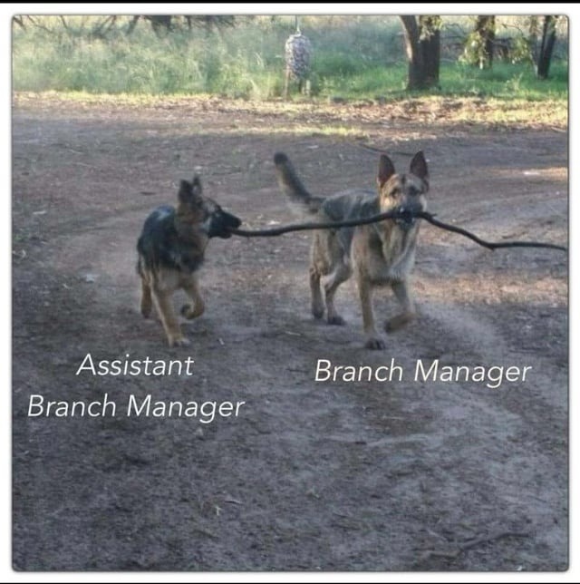 Assistant Branch Manager, Branch Manager