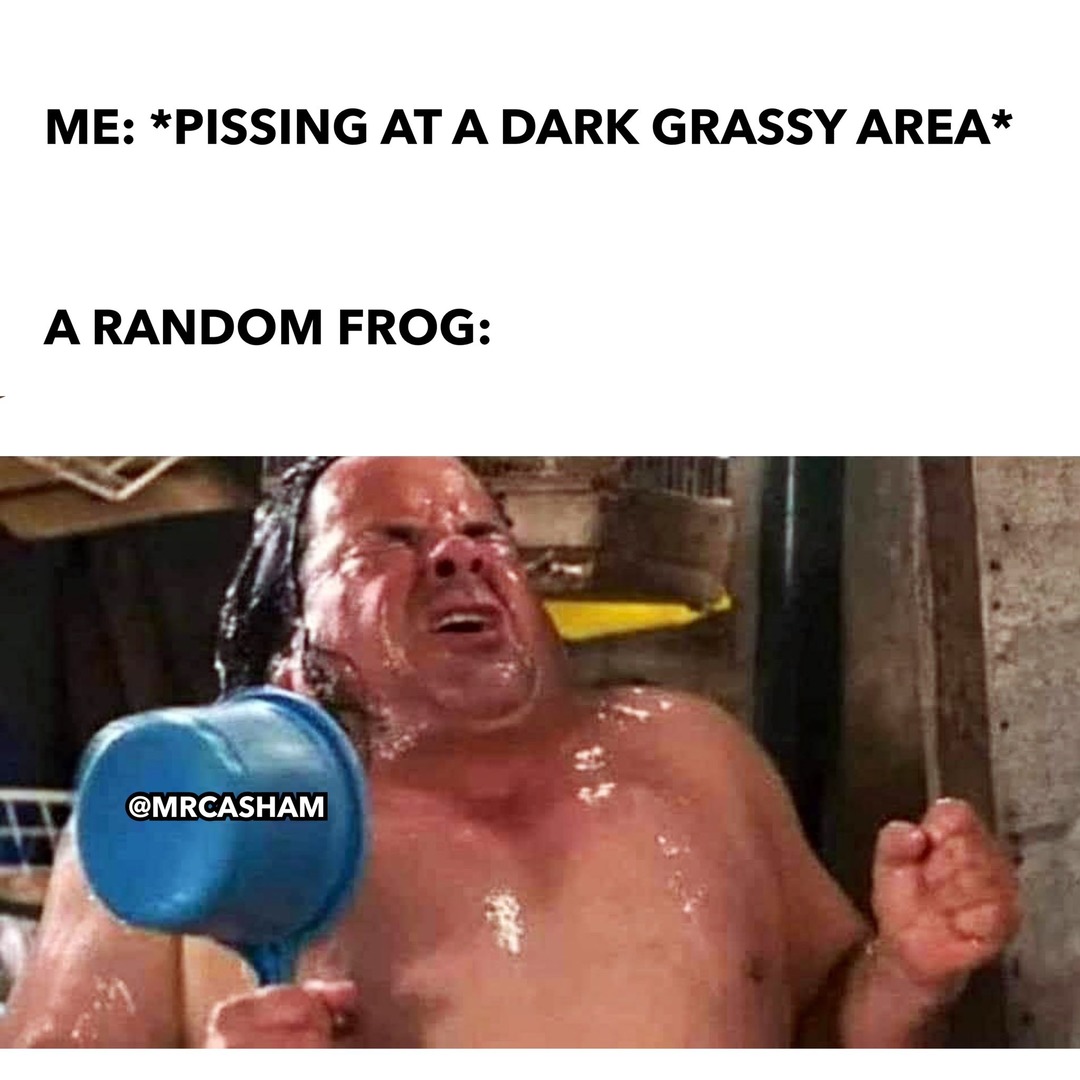 ME: *PISSING AT A DARK GRASSY AREA* A RANDOM FROG:
