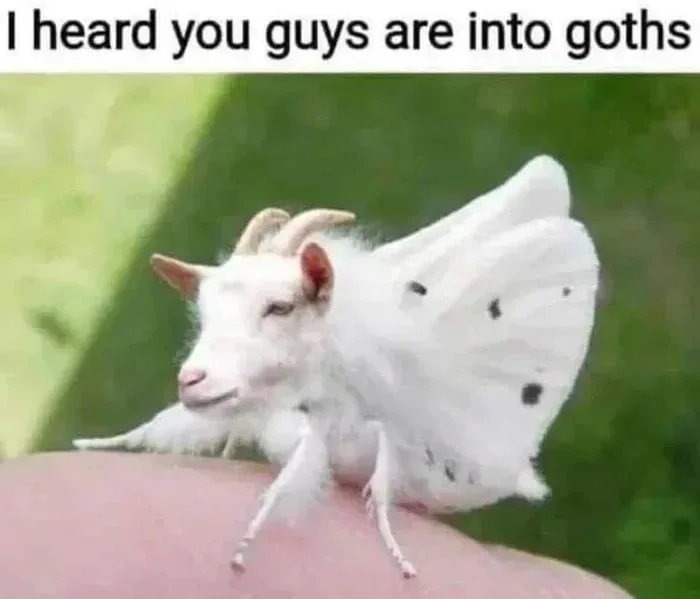 I heard you guys are into goths