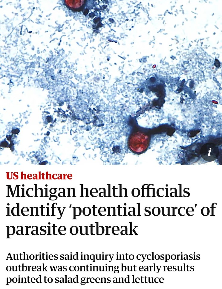 US healthcare Michigan health officials identify 'potential source' of parasite outbreak Authorities said inquiry into cyclosporiasis outbreak was continuing but early results pointed to salad greens and lettuce