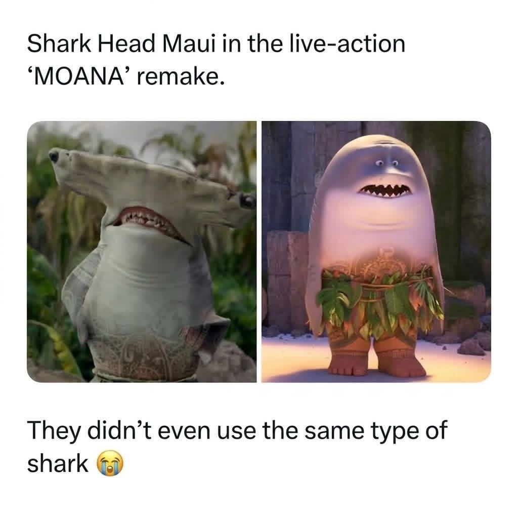 Shark Head Maui in the live-action 'MOANA' remake. They didn't even use the same type of shark 😭