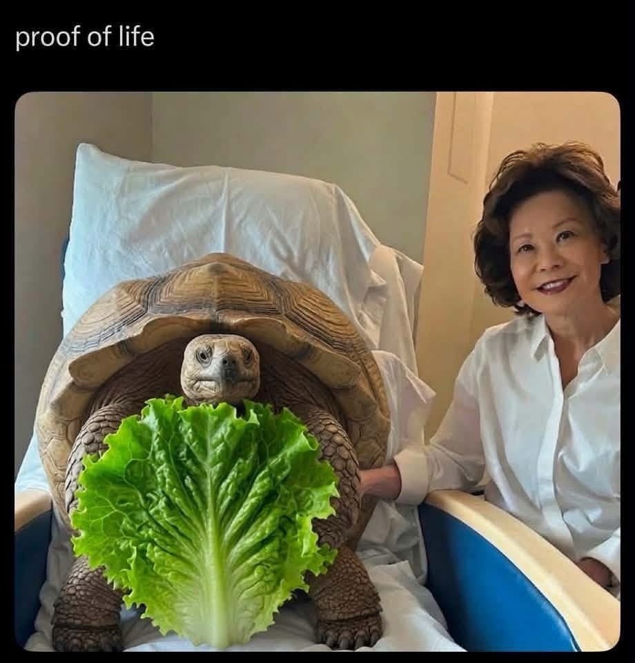 proof of life