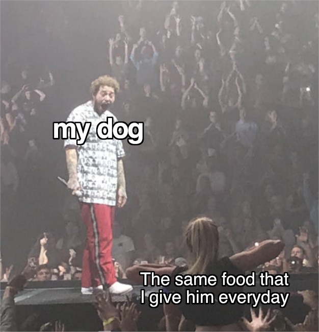 my dog The same food that I give him everyday