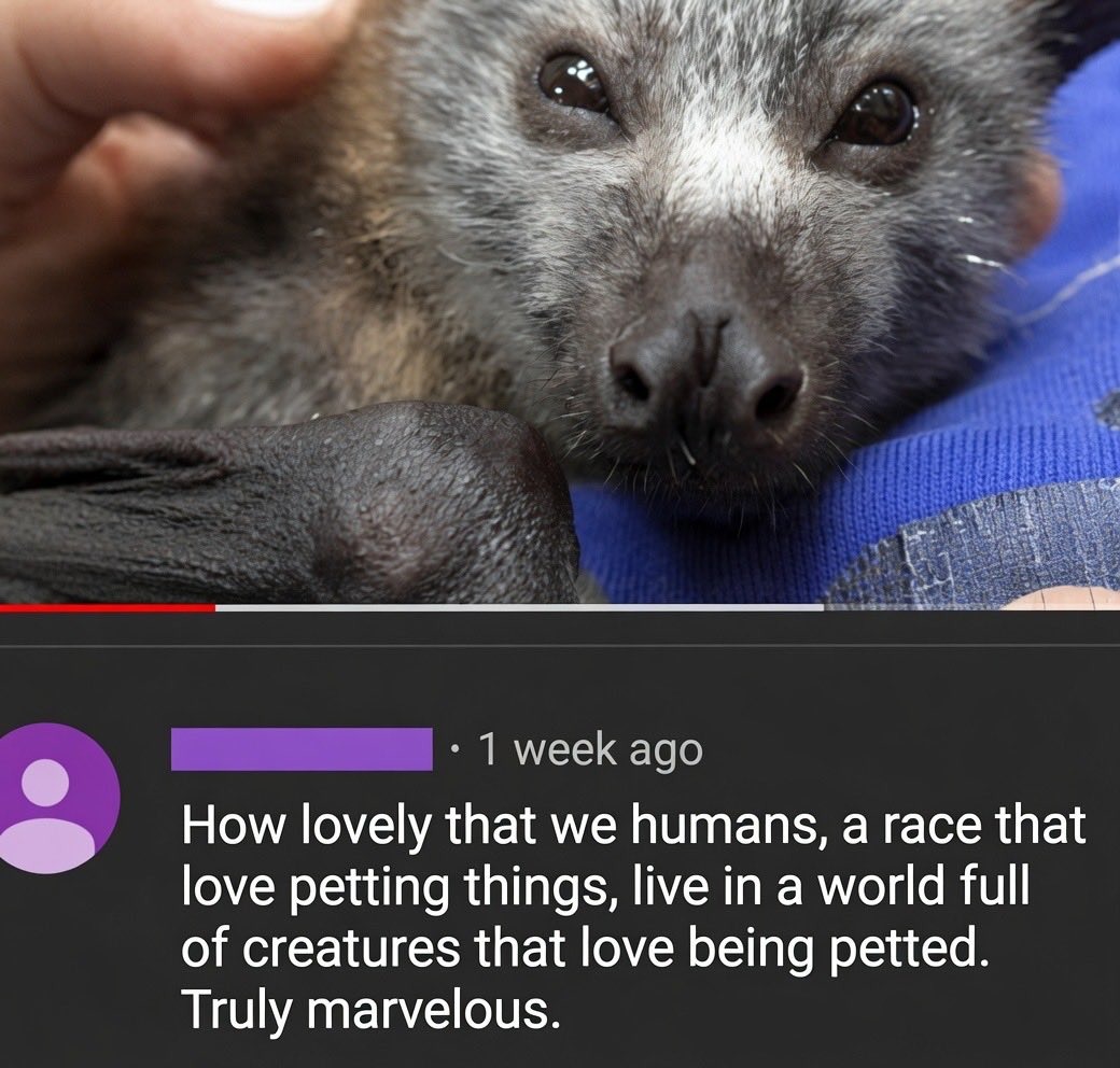 How lovely that we humans, a race that love petting things, live in a world full of creatures that love being petted. Truly marvelous.