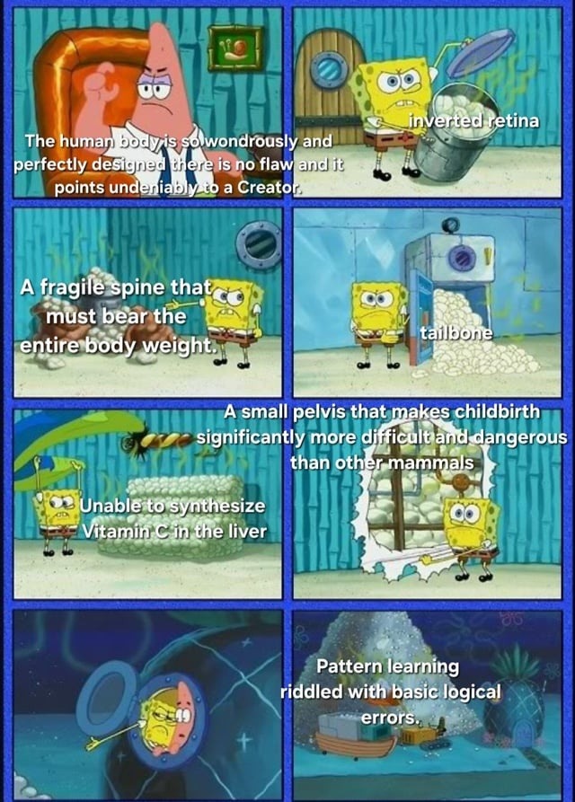 Patrick says: The human body is so wondrously and perfectly designed, there is no flaw and it points undeniably to a Creator. Spongebob then points out flaws: inverted retina, a fragile spine that must bear the entire body weight, tailbone, inability to synthesize Vitamin C in the liver, a small pelvis that makes childbirth significantly more diffi