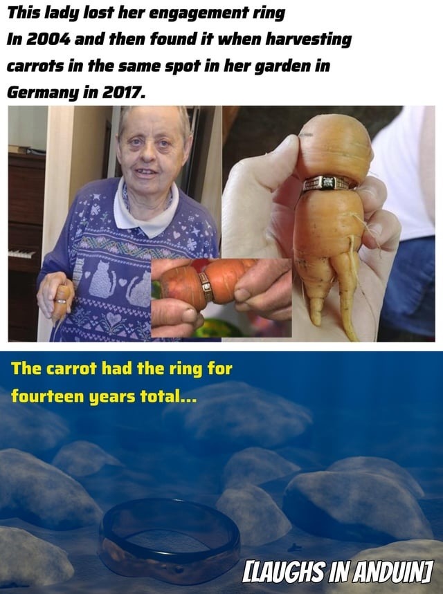 This lady lost her engagement ring In 2004 and then found it when harvesting carrots in the same spot in her garden in Germany in 2017. The carrot had the ring for fourteen years total... [LAUGHS IN ANDUIN]