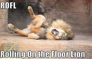 ROFL Rolling On the Floor Lion