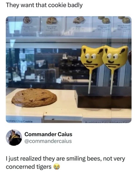 They want that cookie badly. Chocolate Chip Cookie. Commander Caius. I just realized they are smiling bees, not very concerned tigers.