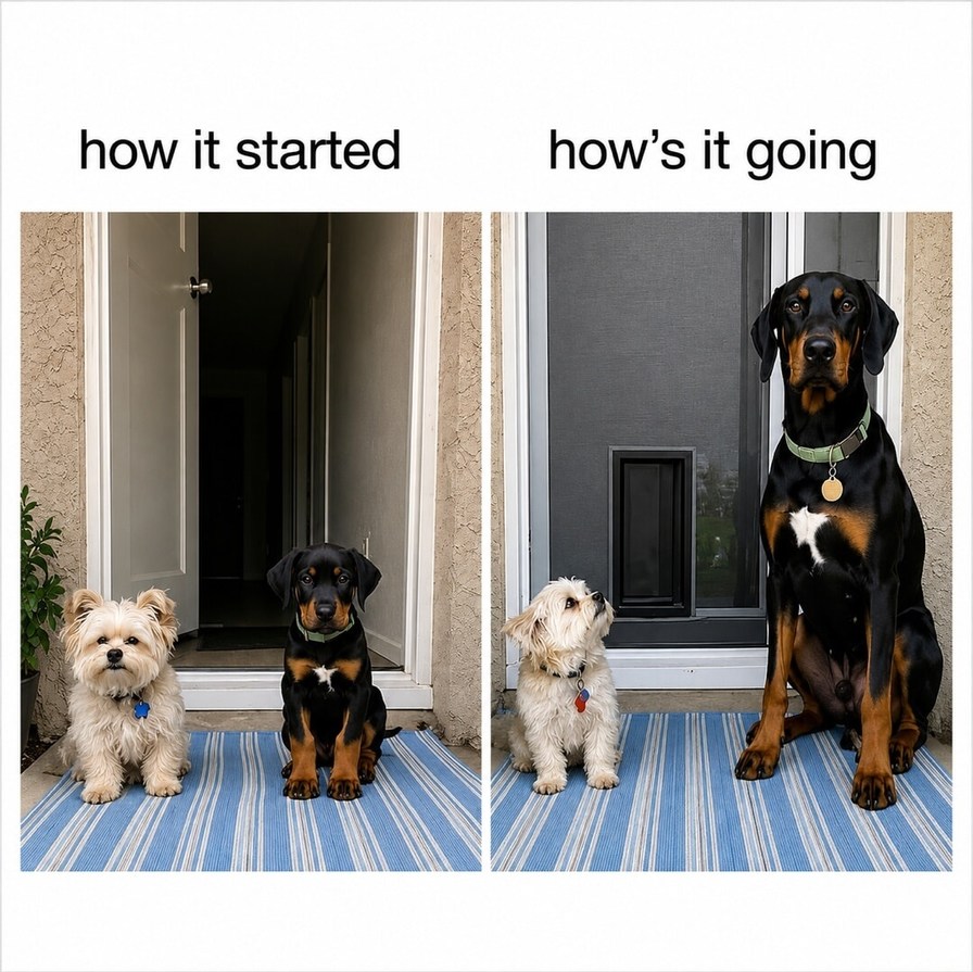 how it started how's it going