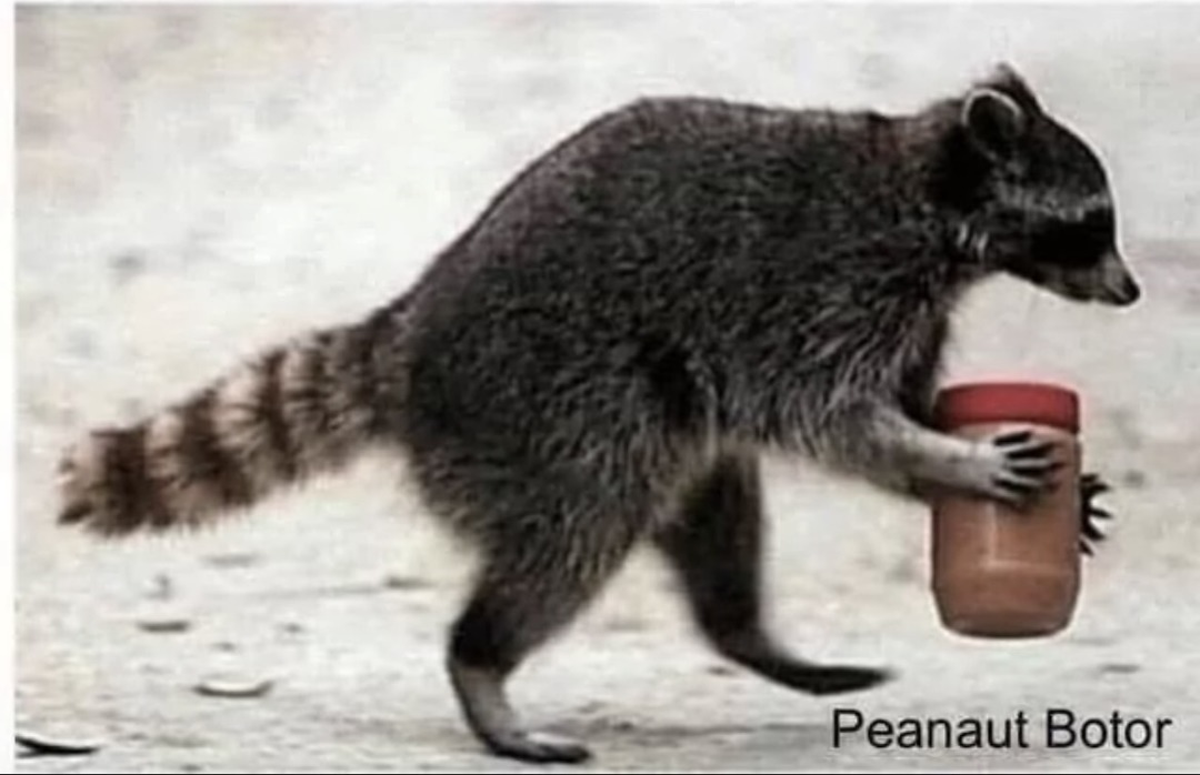 Peanaut Botor