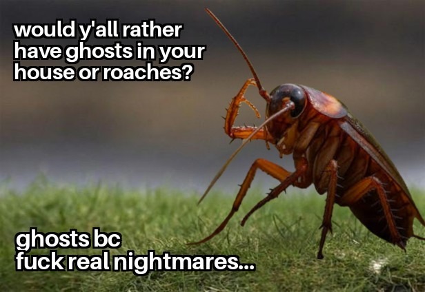 would y'all rather have ghosts in your house or roaches? ghosts bc fuck real nightmares...