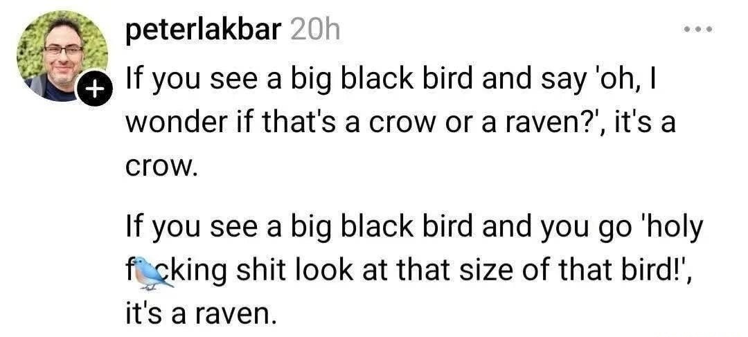 peterlakbar 20h
If you see a big black bird and say 'oh, I wonder if that's a crow or a raven?', it's a crow.
If you see a big black bird and you go 'holy f*cking shit look at that size of that bird!', it's a raven.