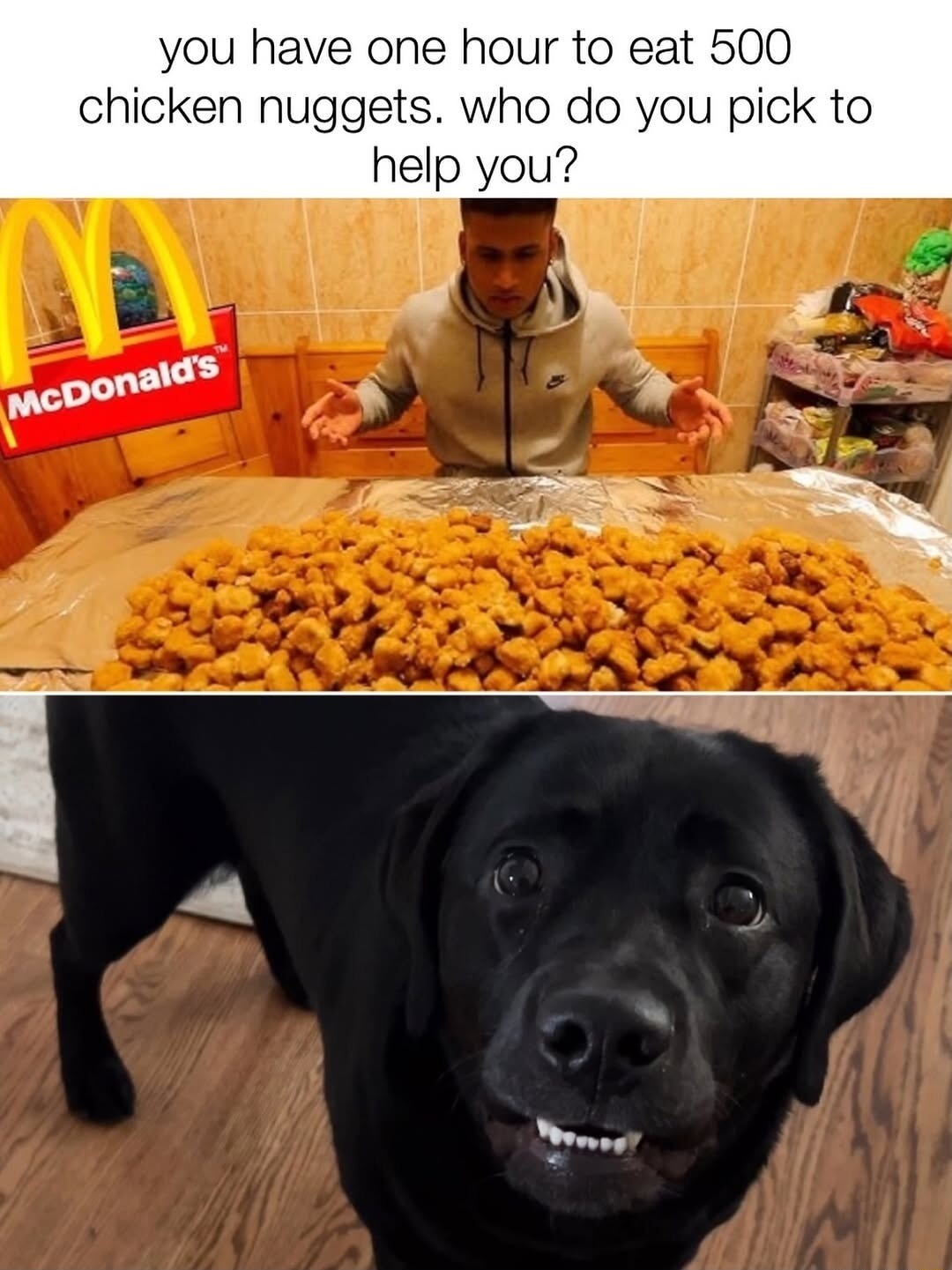 you have one hour to eat 500 chicken nuggets. who do you pick to help you?