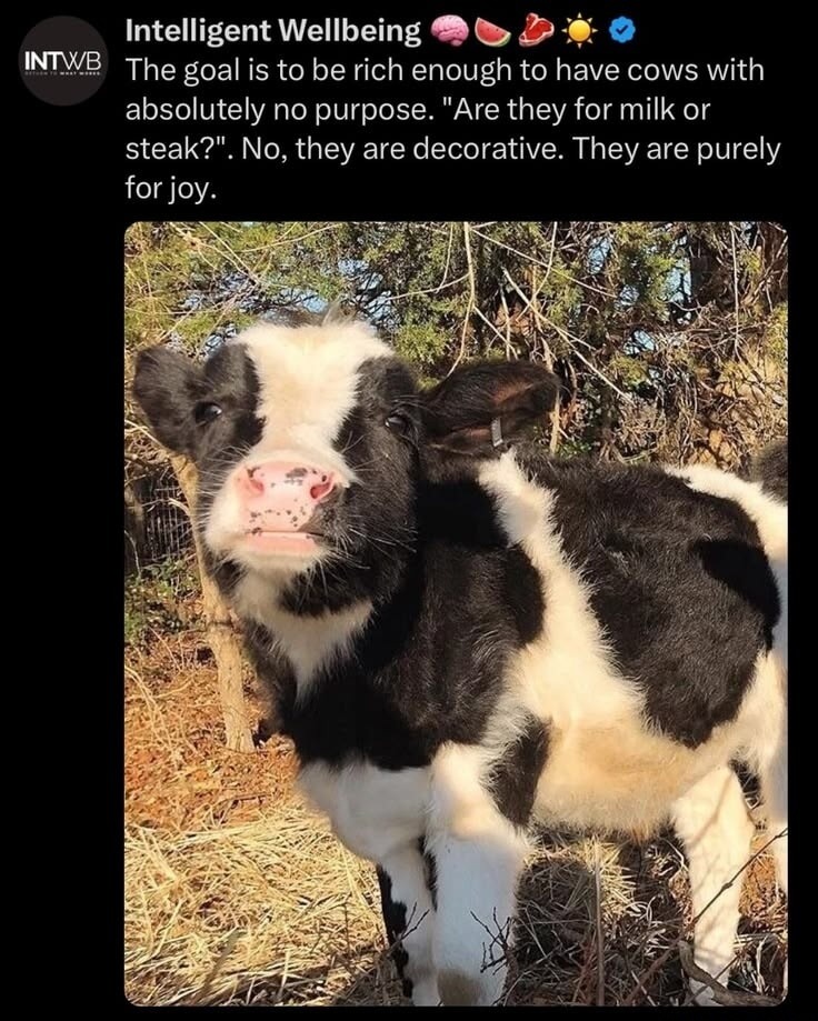 Intelligent Wellbeing. The goal is to be rich enough to have cows with absolutely no purpose. 
