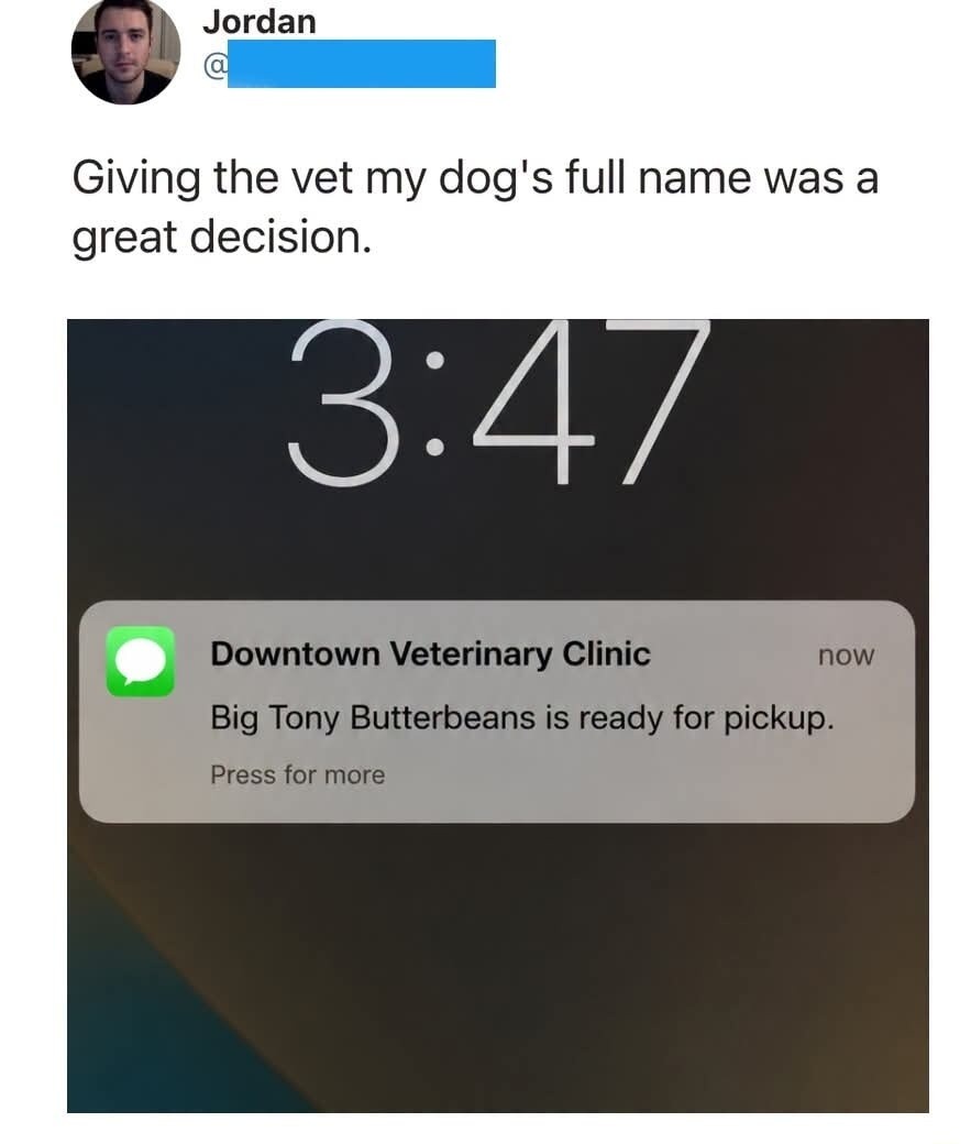 Jordan Giving the vet my dog's full name was a great decision. 3:47 Downtown Veterinary Clinic now Big Tony Butterbeans is ready for pickup. Press for more