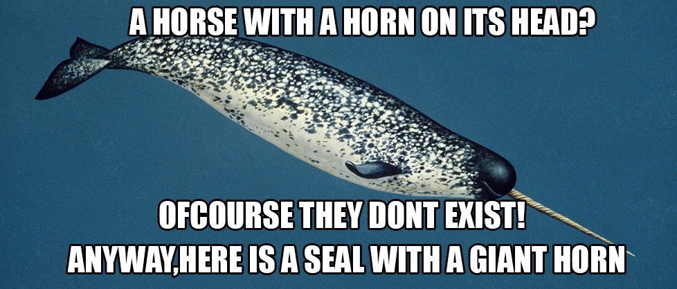 A HORSE WITH A HORN ON ITS HEAD? OFCOURSE THEY DONT EXIST! ANYWAY, HERE IS A SEAL WITH A GIANT HORN