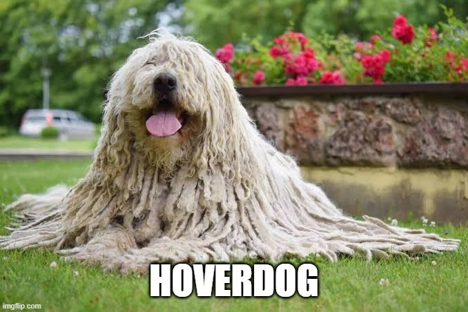 HOVERDOG