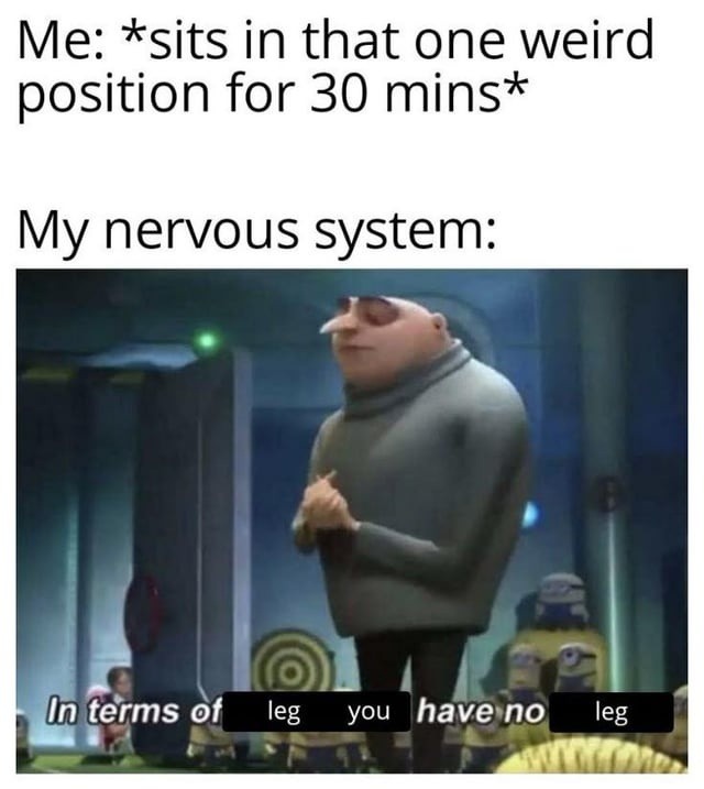Me: *sits in that one weird position for 30 mins* My nervous system: In terms of leg you have no leg