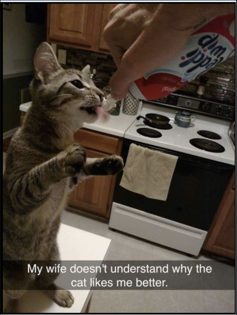 My wife doesn't understand why the cat likes me better.