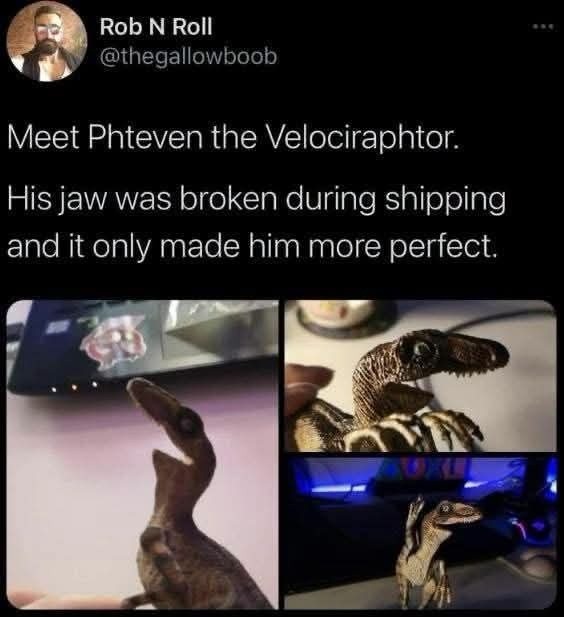 Rob N Roll @thegallowboob Meet Phteven the Velociraphtor. His jaw was broken during shipping and it only made him more perfect.