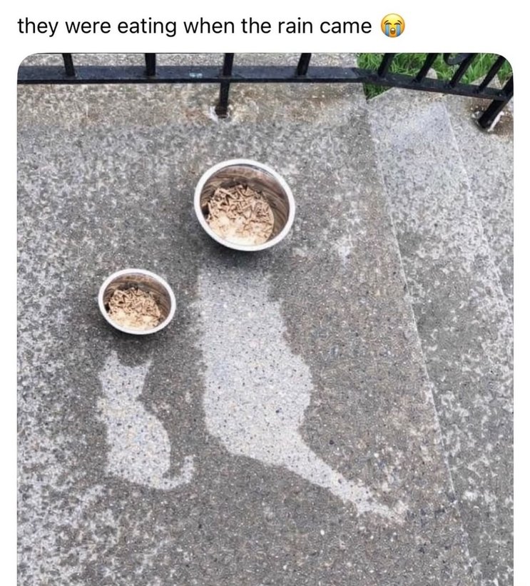 they were eating when the rain came 😭