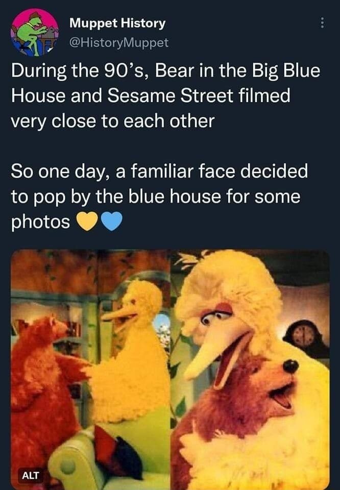 Muppet History @HistoryMuppet During the 90's, Bear in the Big Blue House and Sesame Street filmed very close to each other So one day, a familiar face decided to pop by the blue house for some photos ALT
