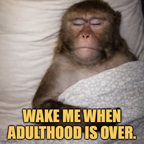 WAKE ME WHEN ADULTHOOD IS OVER.